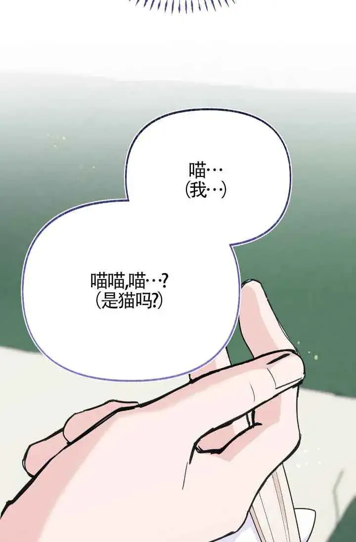 《成了每晚和偏执暴君共眠的猫》第17话图99