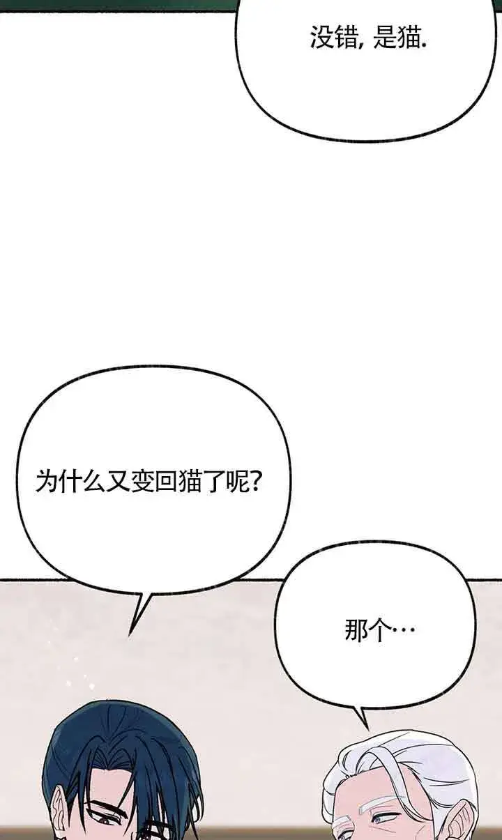 《成了每晚和偏执暴君共眠的猫》第18话图2