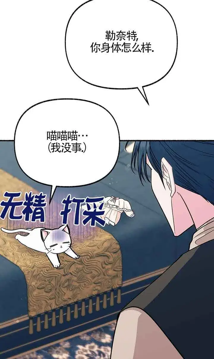 《成了每晚和偏执暴君共眠的猫》第18话图23