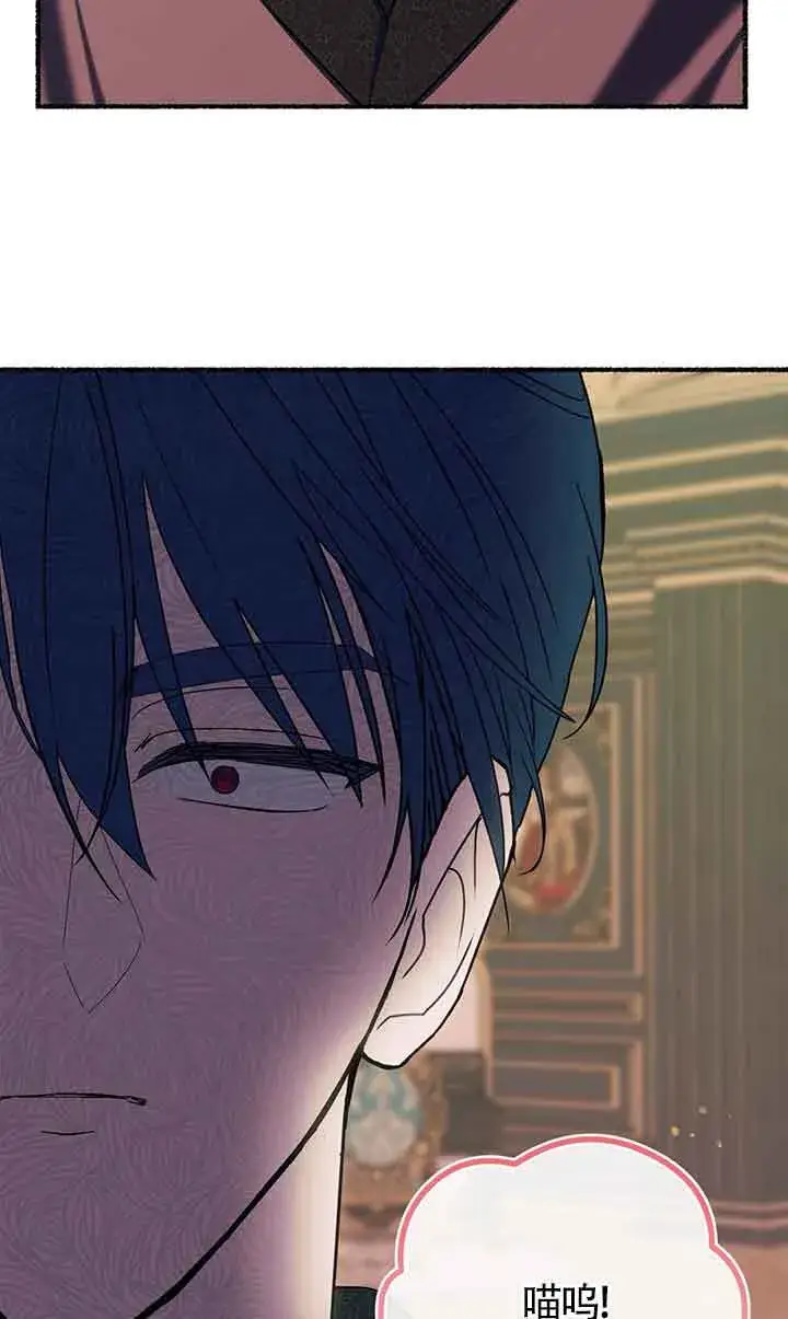 《成了每晚和偏执暴君共眠的猫》第18话图42