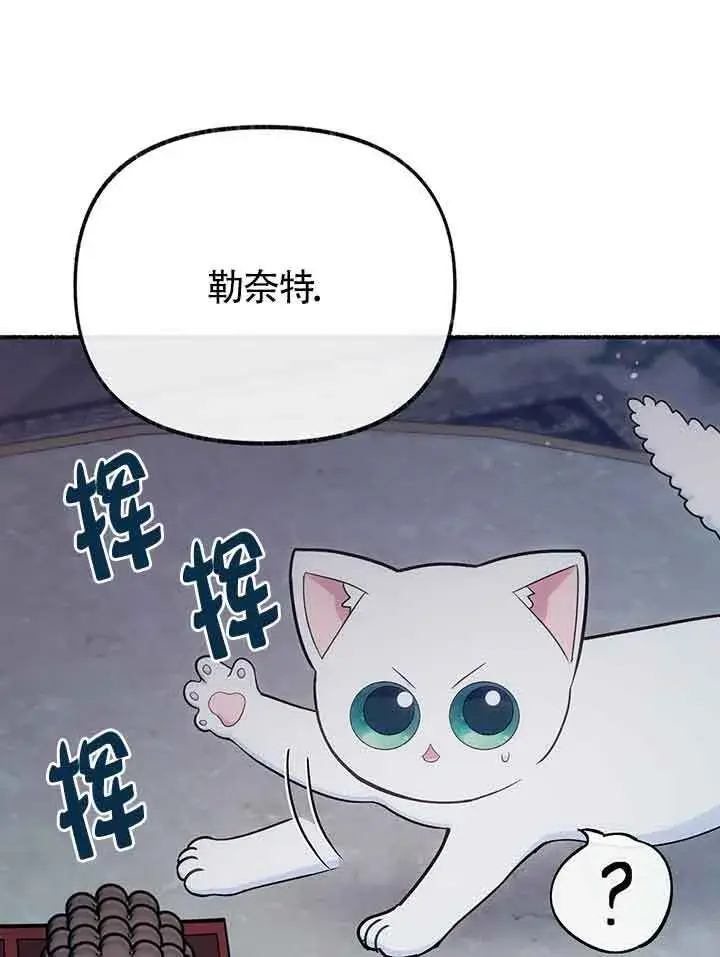《成了每晚和偏执暴君共眠的猫》第19话图14