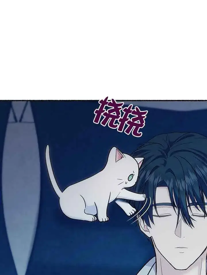 《成了每晚和偏执暴君共眠的猫》第19话图35