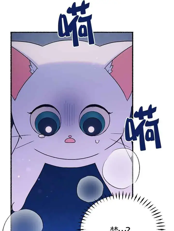《成了每晚和偏执暴君共眠的猫》第19话图57
