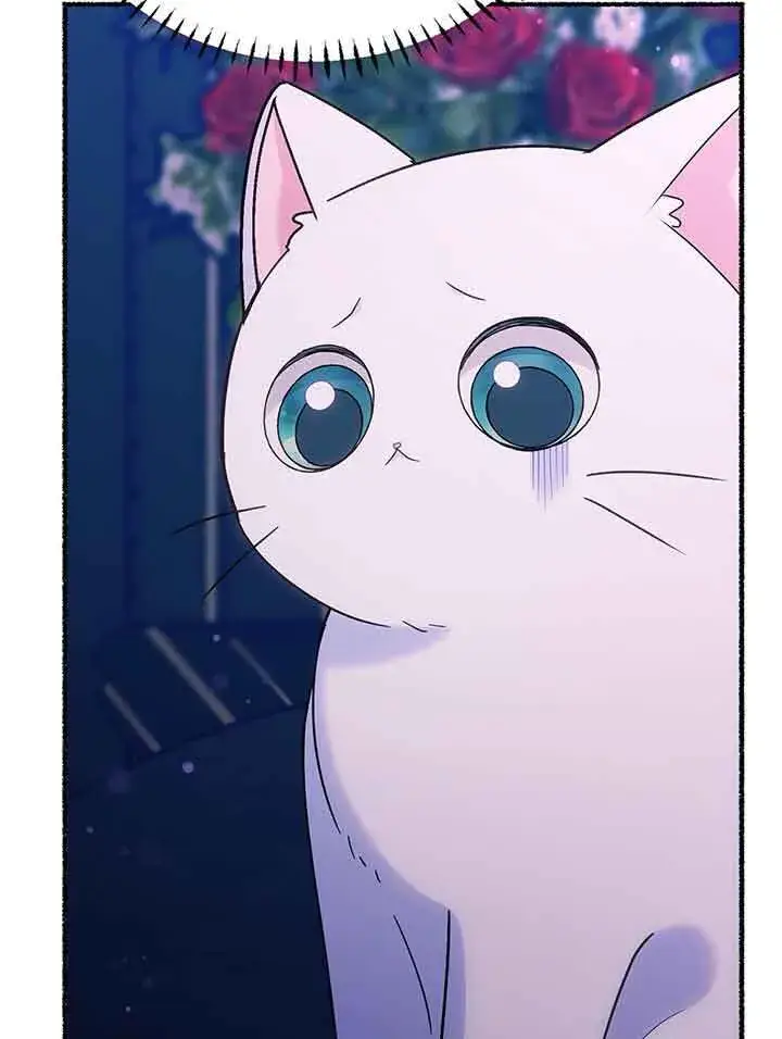 《成了每晚和偏执暴君共眠的猫》第19话图63