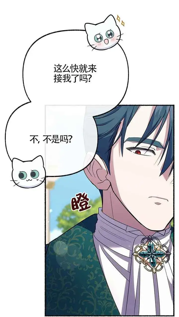 《成了每晚和偏执暴君共眠的猫》第25话图17