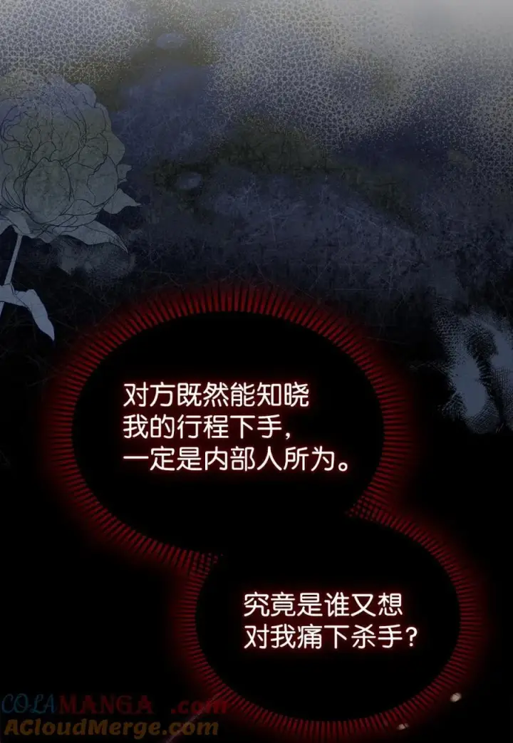 《成为暴君的奸臣》12 不该手软图34