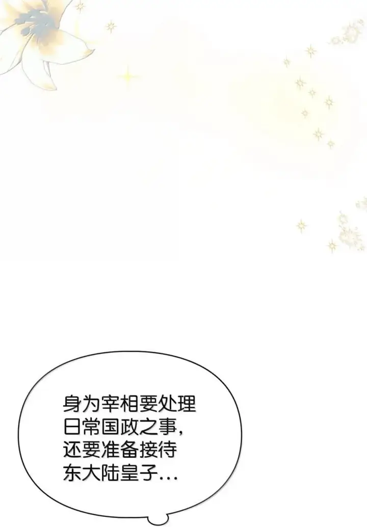 《成为暴君的奸臣》44 外交战袍图2