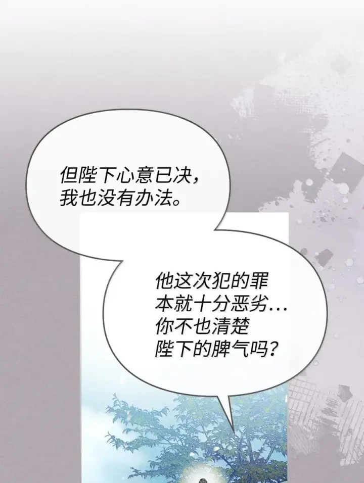 《成为暴君的奸臣》44 外交战袍图51
