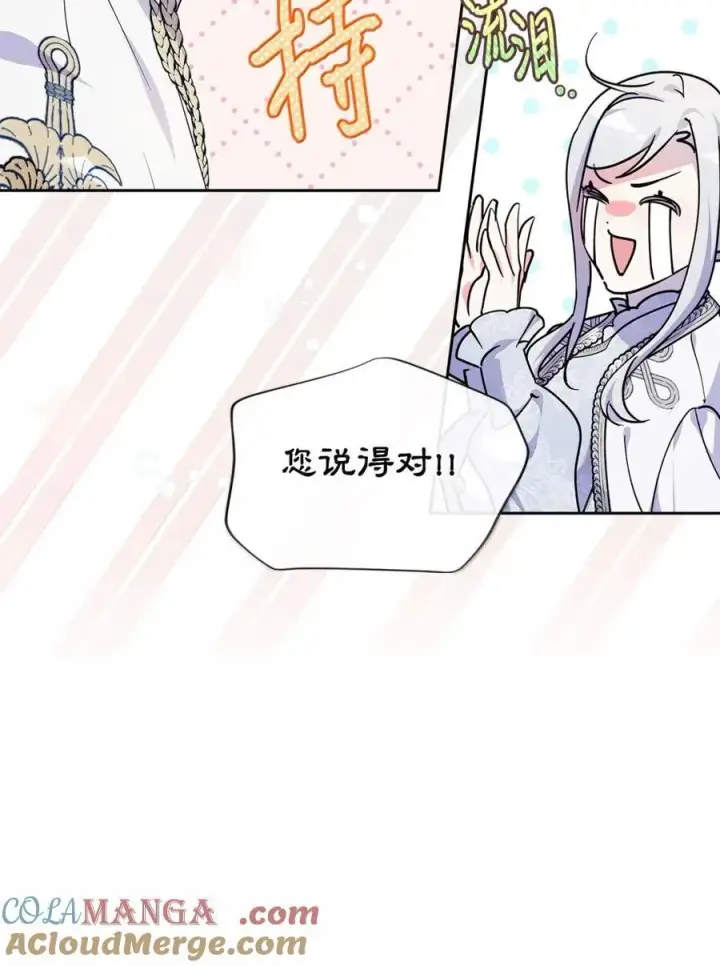《成为暴君的奸臣》44 外交战袍图61