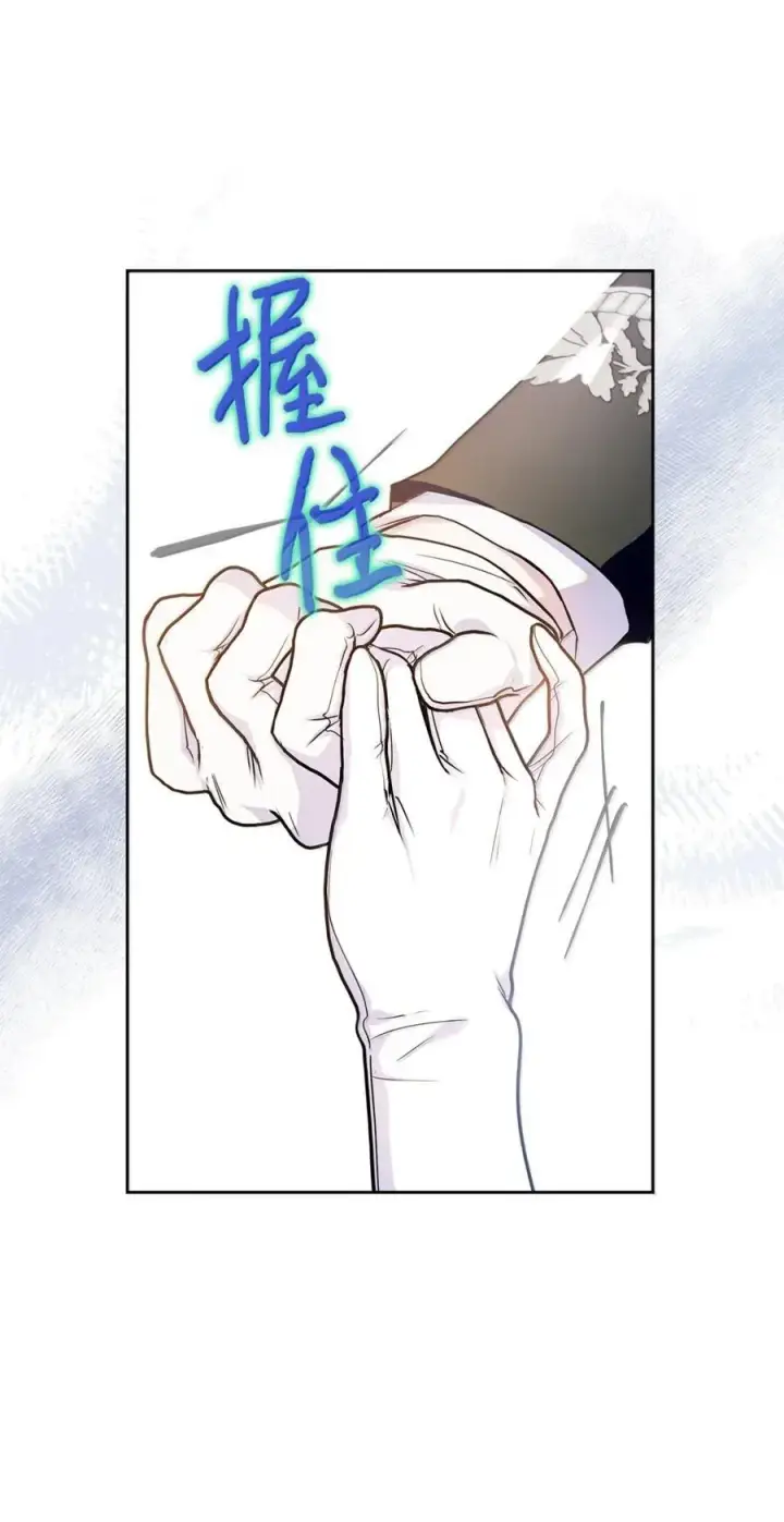 《成为暴君的奸臣》46 暴君的flag图30