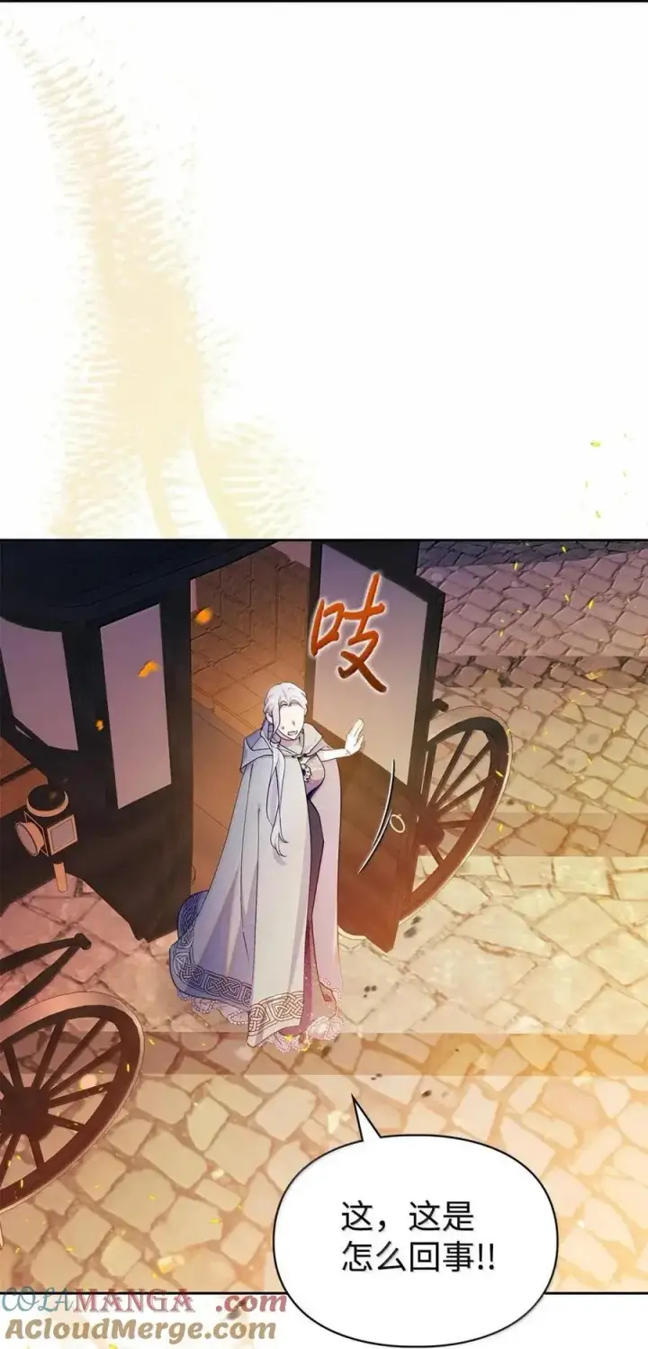 《成为暴君的奸臣》60 别想逃图70