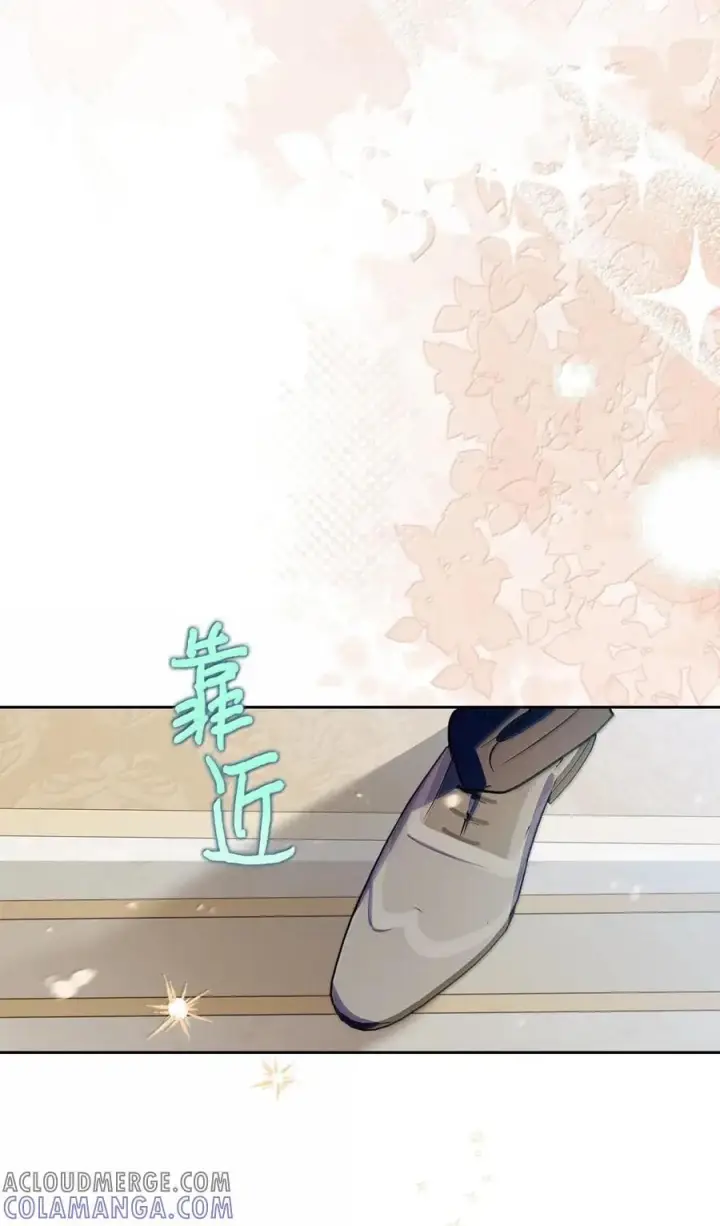《成为暴君的奸臣》66 替人求婚图82