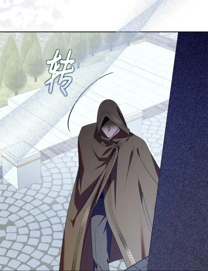 《成为暴君的奸臣》67 可以随时吻我图63
