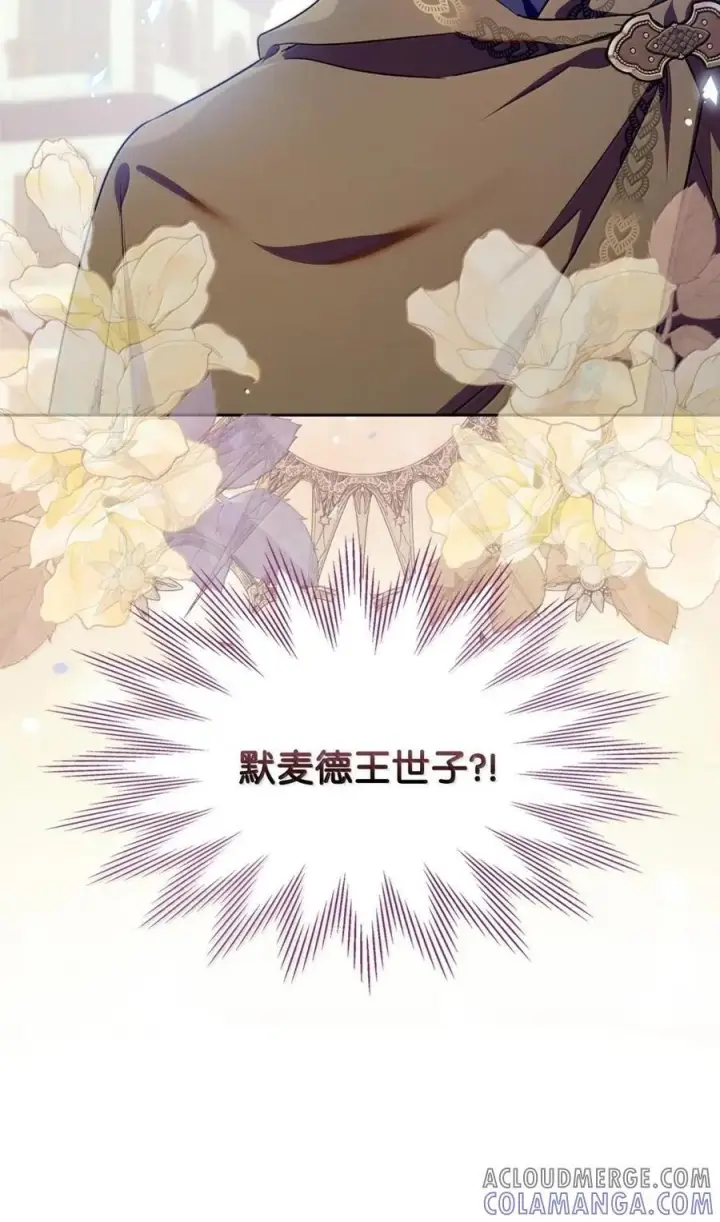 《成为暴君的奸臣》67 可以随时吻我图70
