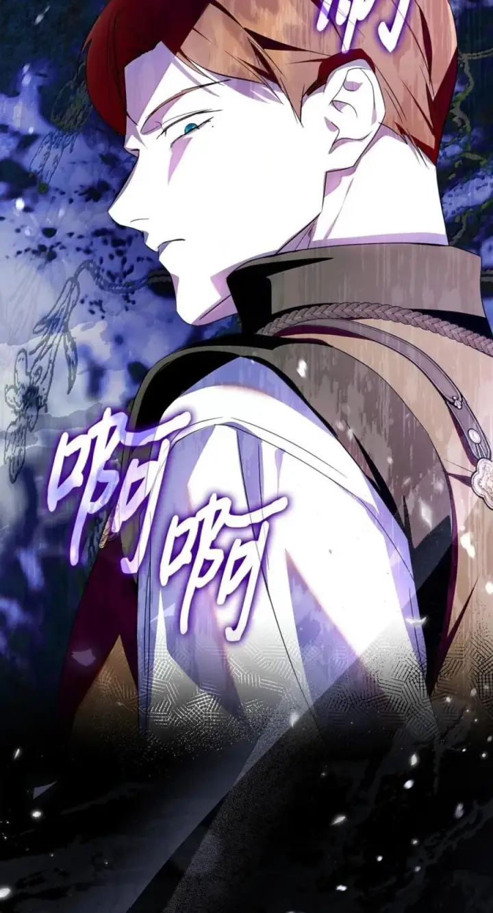 《成为暴君的奸臣》72 最后的机会图72