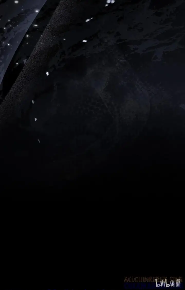 《成为暴君的奸臣》72 最后的机会图73