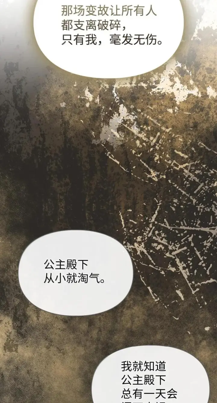 《成为暴君的奸臣》75 公主的恋人图65