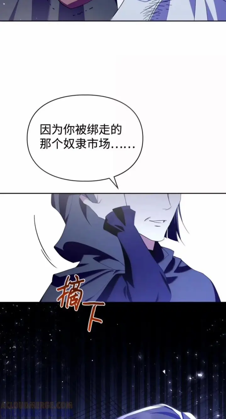 《成为暴君的奸臣》82 借刀杀人图91