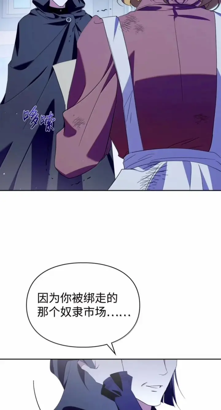 《成为暴君的奸臣》82 借刀杀人图95