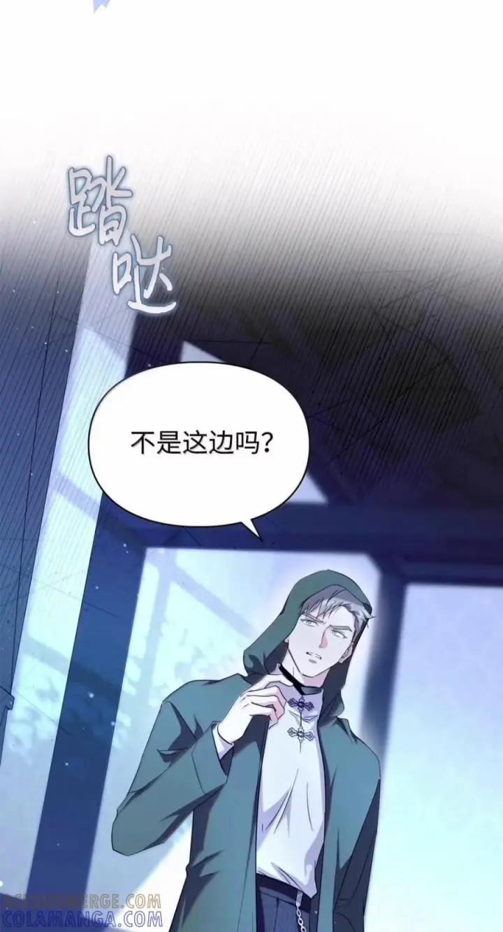 《成为暴君的奸臣》85 可疑的侍女图61