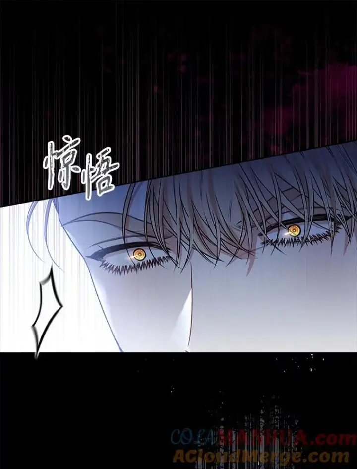 《成为暴君的秘书官》101.邀请共舞图109