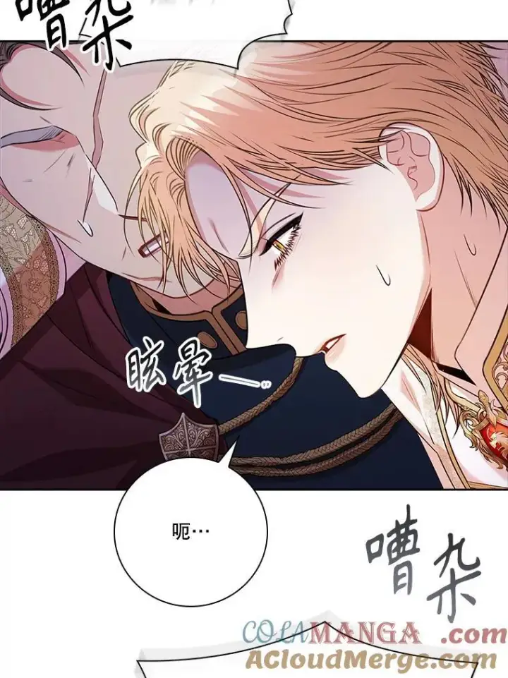 《成为暴君的秘书官》103.成为祭品图41