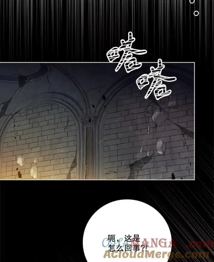 《成为暴君的秘书官》108.尘埃落定图73