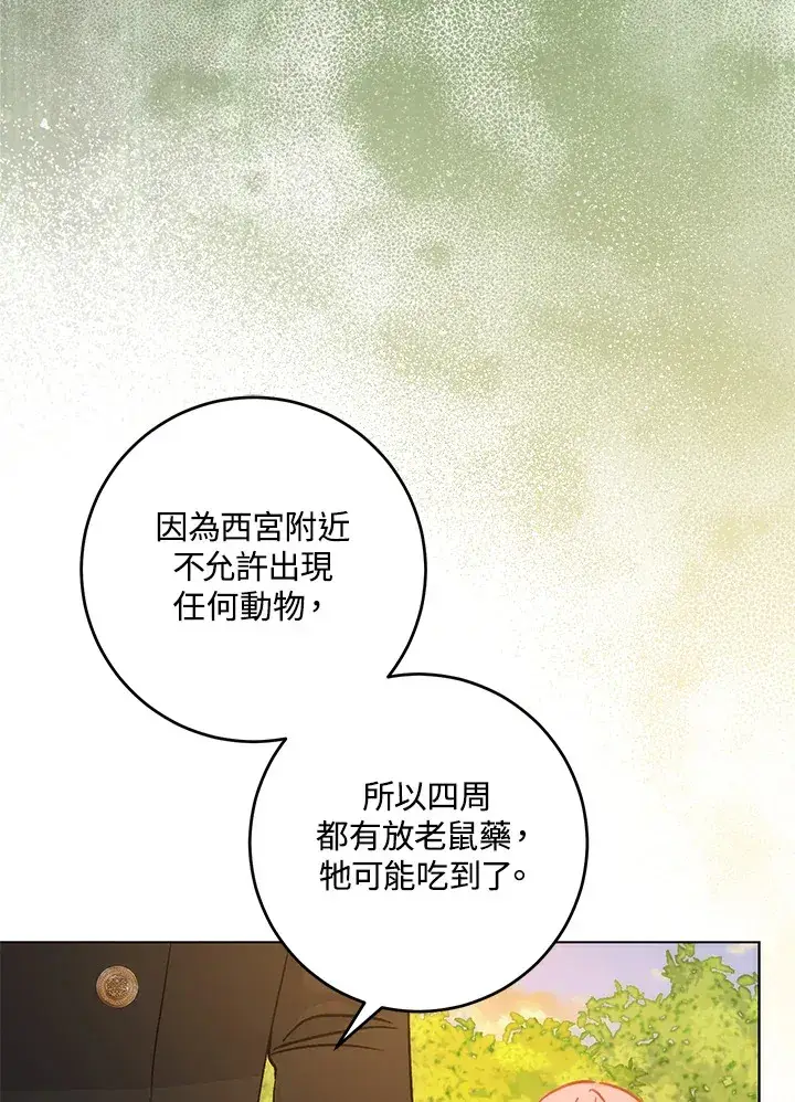 《成为病弱女主角的妹妹》第31话图31