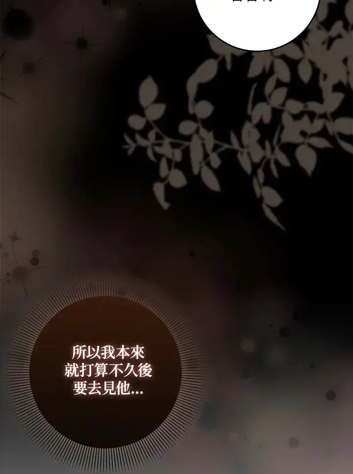 《成为病弱女主角的妹妹》第32话图89