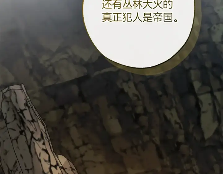 《成为伯爵家的废物》第148话 双胞胎的过去图84