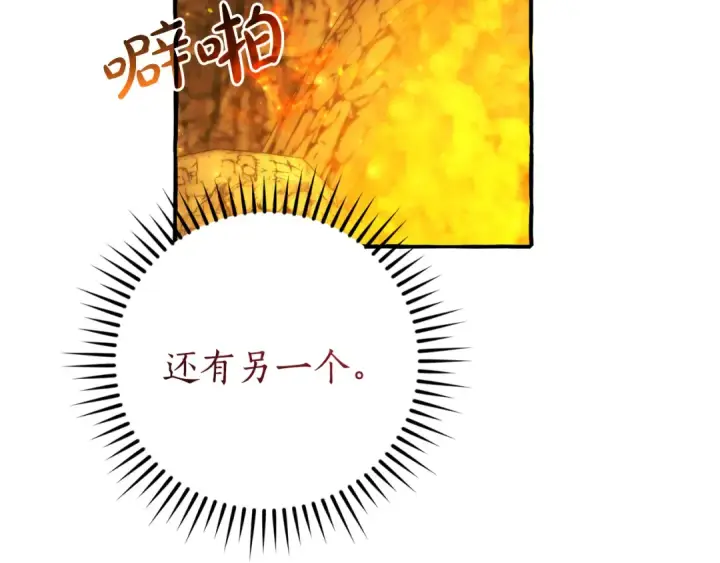 《成为伯爵家的废物》第148话 双胞胎的过去图99