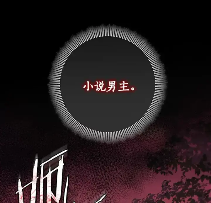 《成为主角的命定救星》31.信任图127