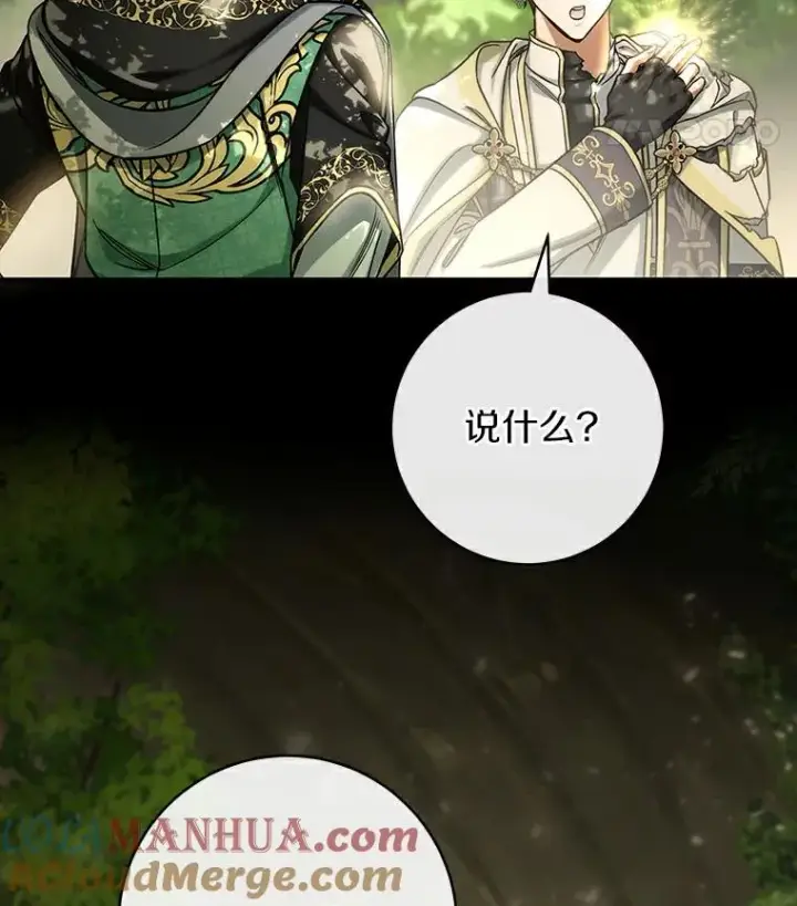 《成为主角的命定救星》52.新领土图53