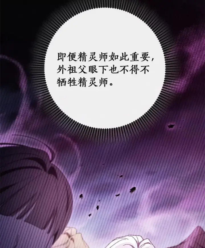 《成为主角的命定救星》104.召唤大精灵图98