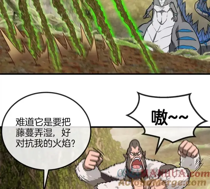 《重生为怪兽什么鬼》第50话 会组合拳的尊柏树图28