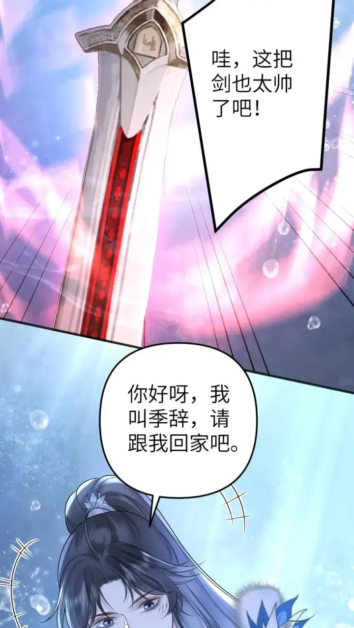 漫画《穿成恶毒炮灰的我被迫开启修罗场》第36话 折柳剑第14张图