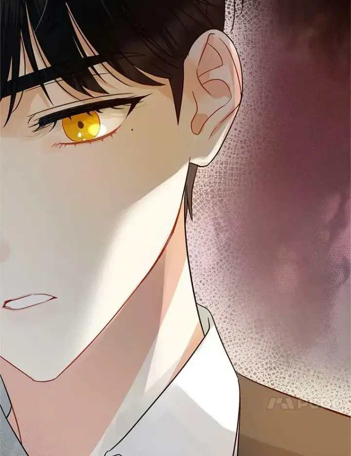 《穿成后悔偏执狂的妹妹》5.攻略图39