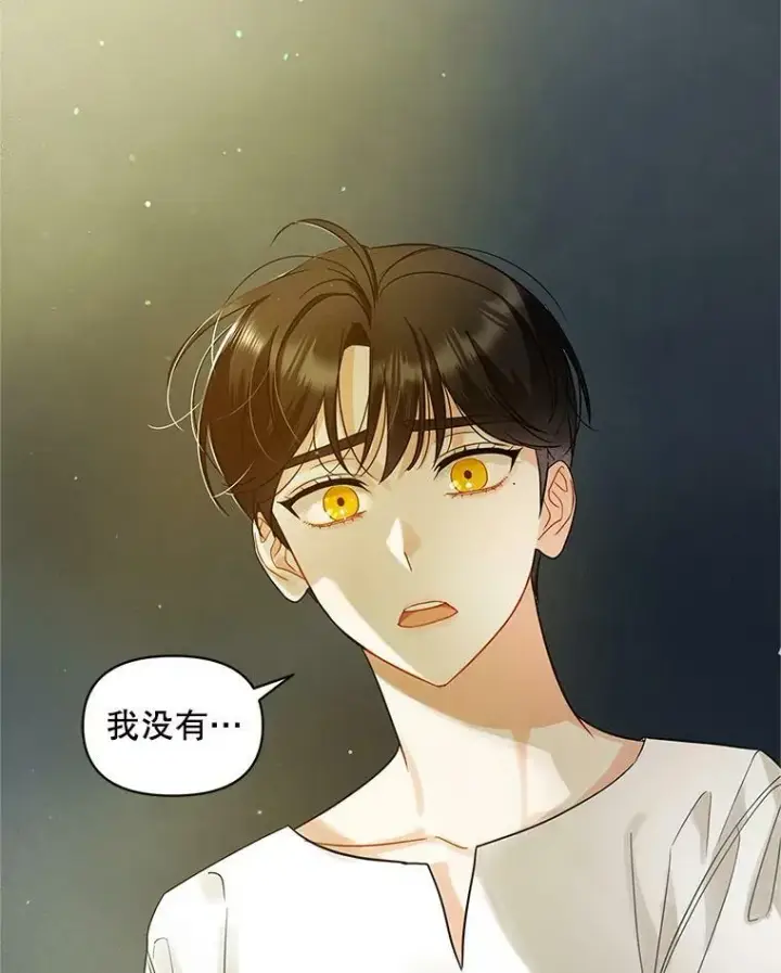 《穿成后悔偏执狂的妹妹》6.卢希安的变化图74
