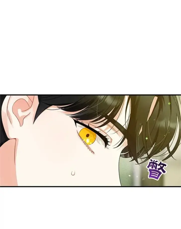 《穿成后悔偏执狂的妹妹》7.公爵夫人图102
