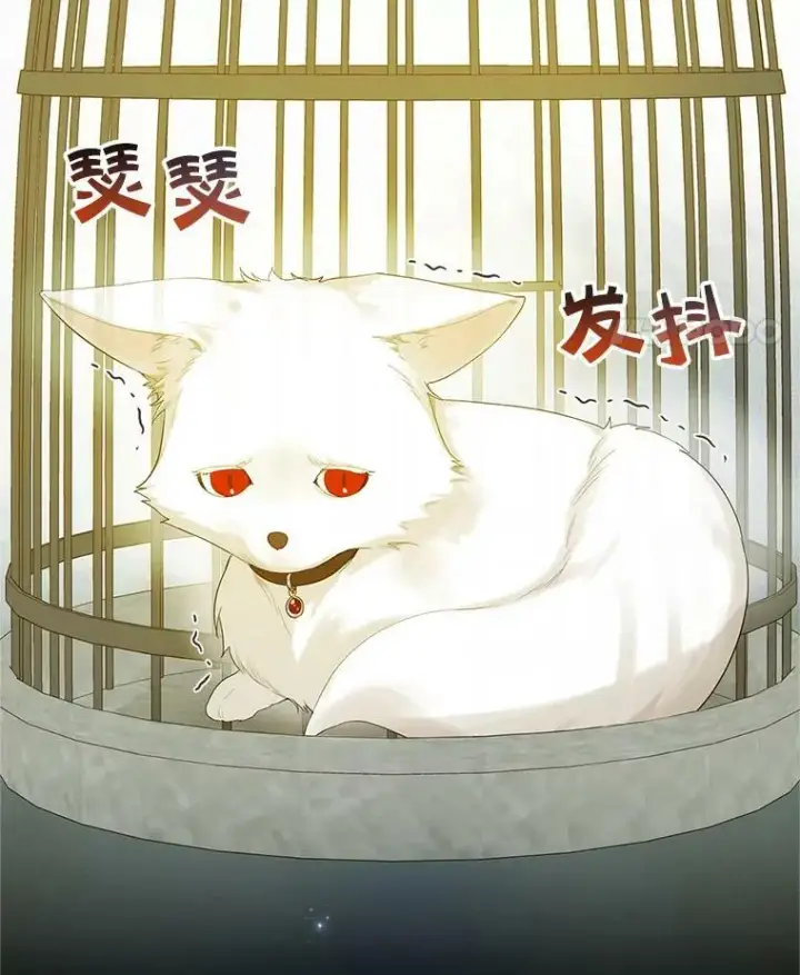 《穿成后悔偏执狂的妹妹》10.练武独处图114