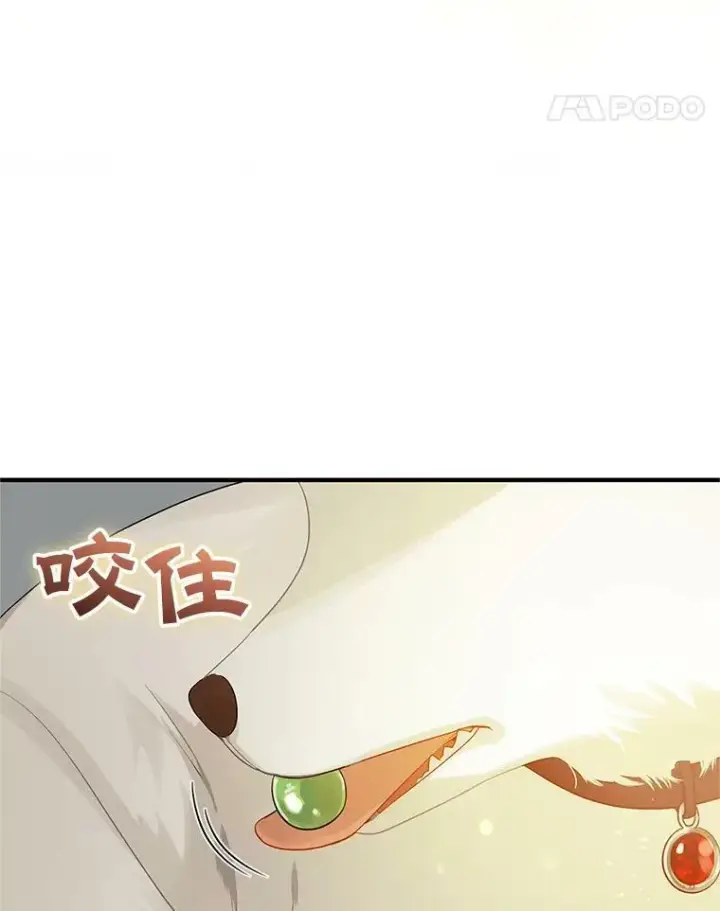 《穿成后悔偏执狂的妹妹》11.兽人图100