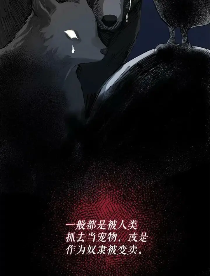 《穿成后悔偏执狂的妹妹》11.兽人图14