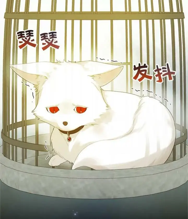 《穿成后悔偏执狂的妹妹》11.兽人图2