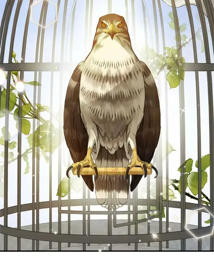 《穿成后悔偏执狂的妹妹》11.兽人图54