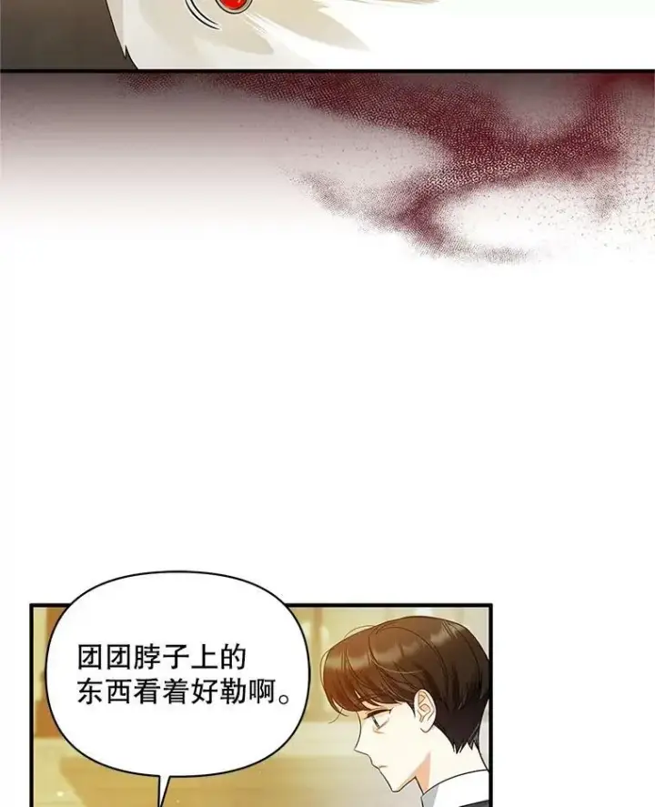 《穿成后悔偏执狂的妹妹》11.兽人图62
