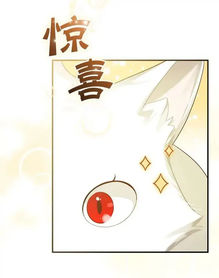 《穿成后悔偏执狂的妹妹》11.兽人图99