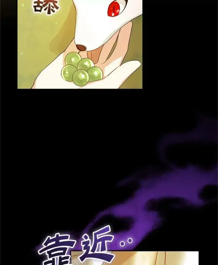 《穿成后悔偏执狂的妹妹》12.攻击图28