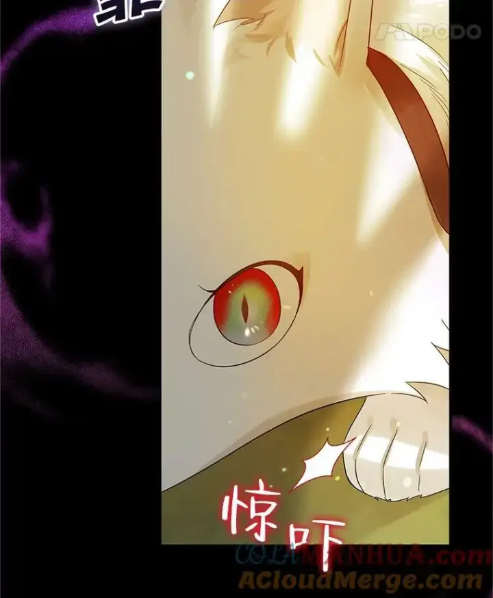 《穿成后悔偏执狂的妹妹》12.攻击图29