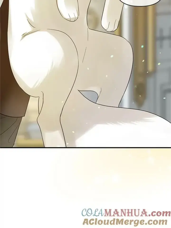 《穿成后悔偏执狂的妹妹》12.攻击图41