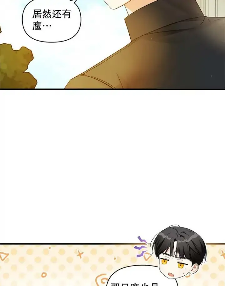 《穿成后悔偏执狂的妹妹》12.攻击图46